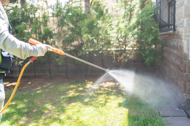 Best Affordable Pest Control Services  in Cape Coral, FL
