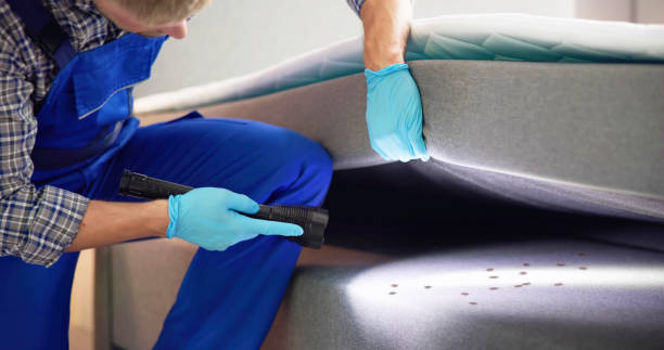 Best Cockroach Control Services  in Cape Coral, FL