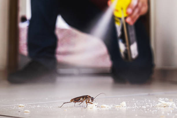 Best Commercial Pest Control Services  in Cape Coral, FL