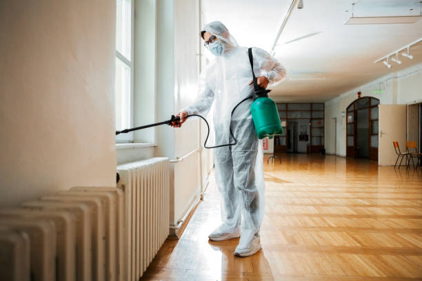 Best Mosquito Control Services  in Cape Coral, FL